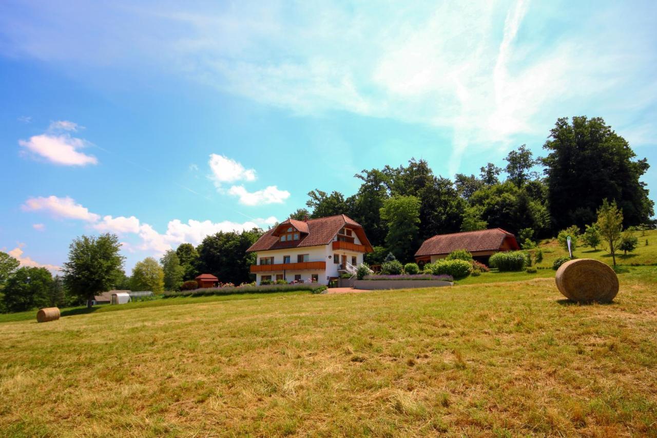 Villa Katarina Mokronog Dış mekan fotoğraf