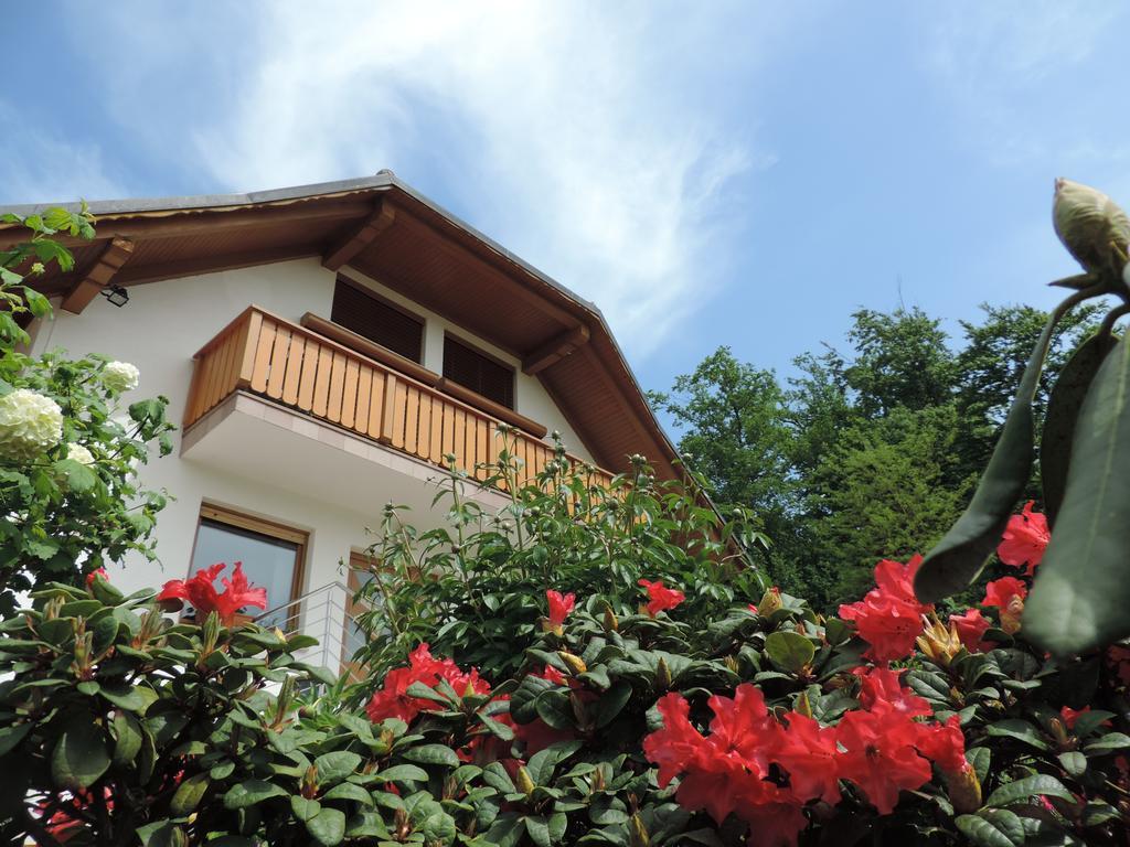 Villa Katarina Mokronog Dış mekan fotoğraf