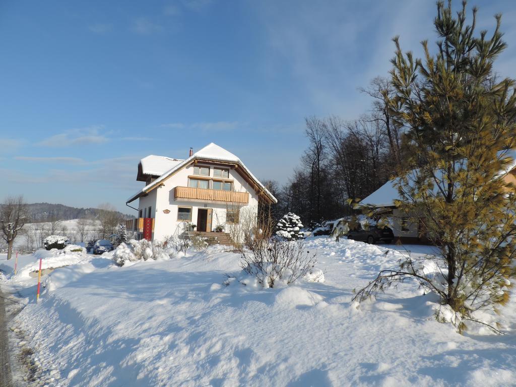 Villa Katarina Mokronog Dış mekan fotoğraf